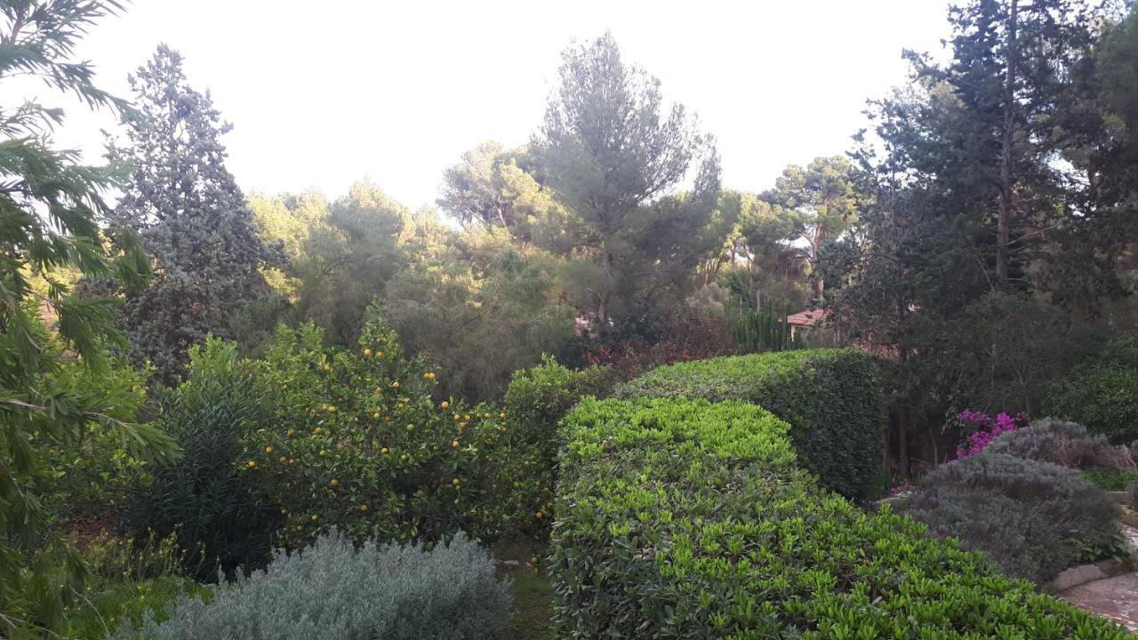 Casa De Las Vistas Palma Exterior foto