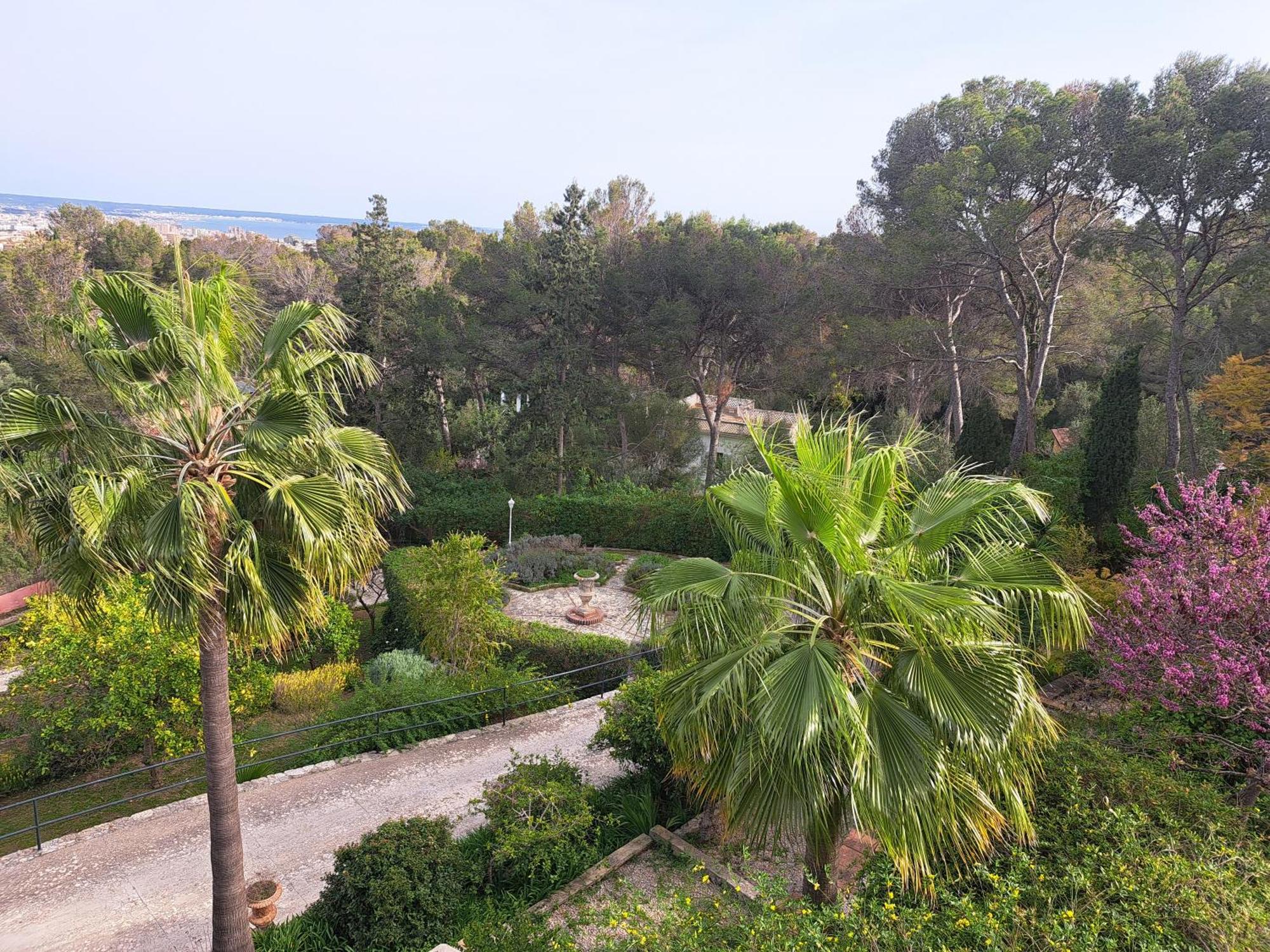 Casa De Las Vistas Palma Exterior foto