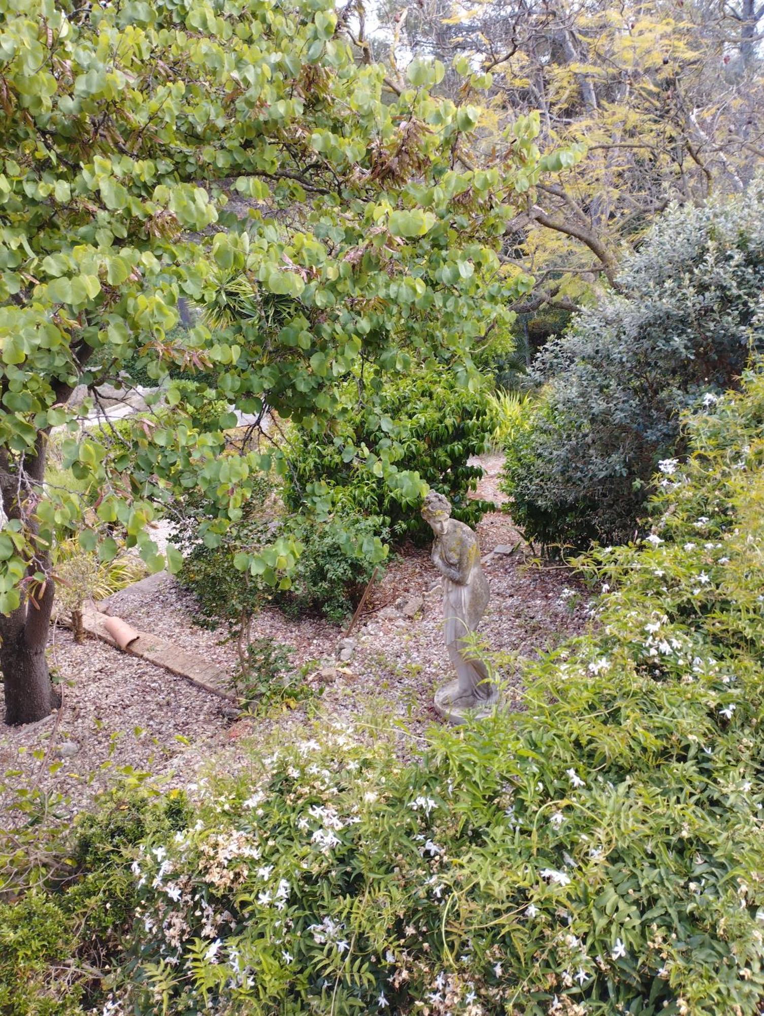 Casa De Las Vistas Palma Exterior foto